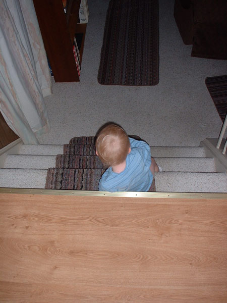 Atticus climbing down the stairs.jpg 67.9K